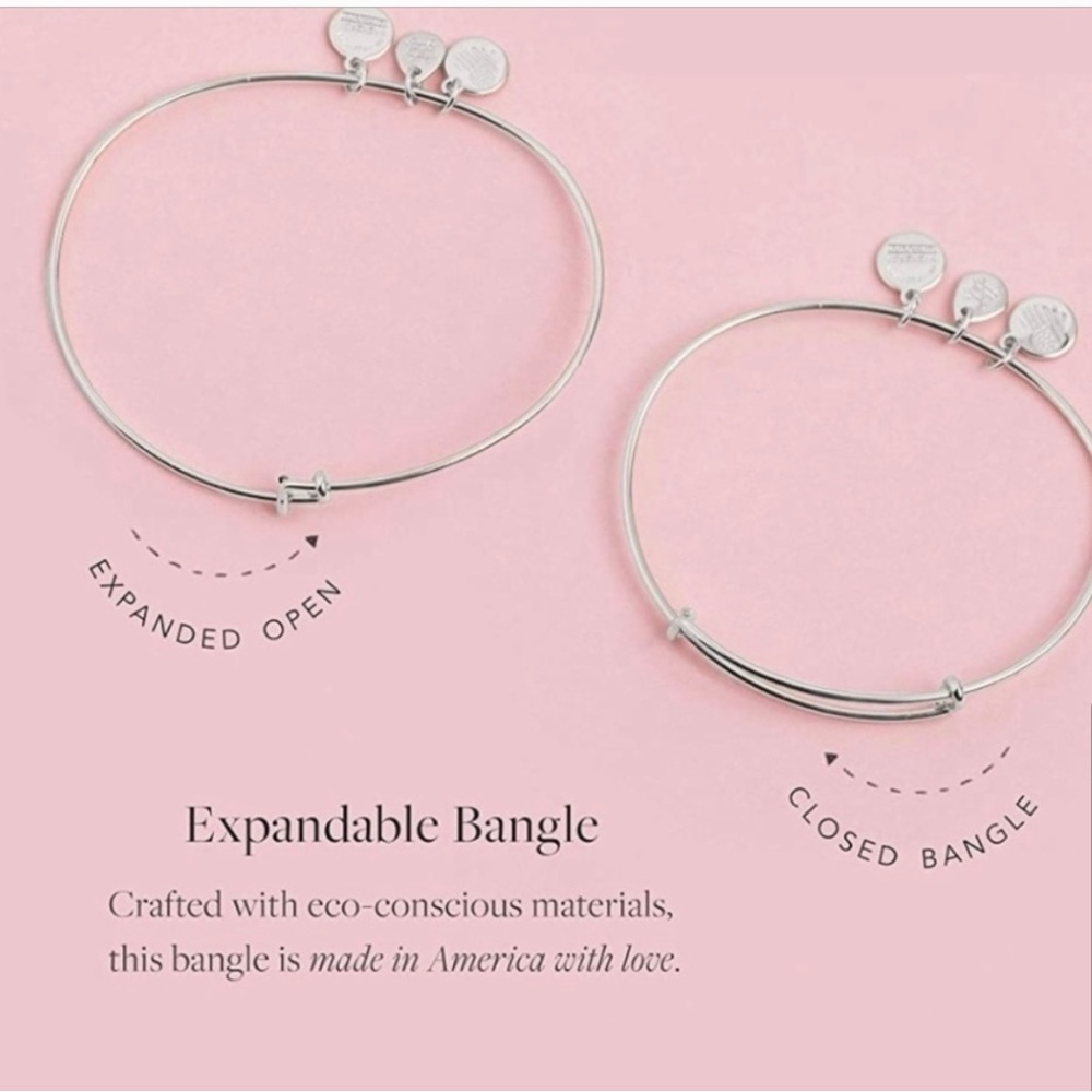 Alex and Ani Path of Life Charm
Bangle Bracelet - Picture 4 of 4
